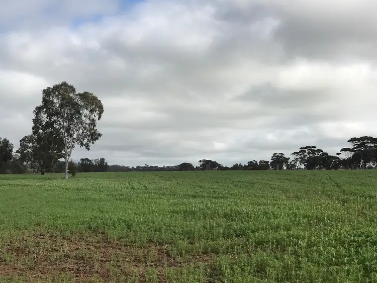 Sixth view of Homely rural property listing, 5727 Quairading Road, Mount Hardey WA 6302