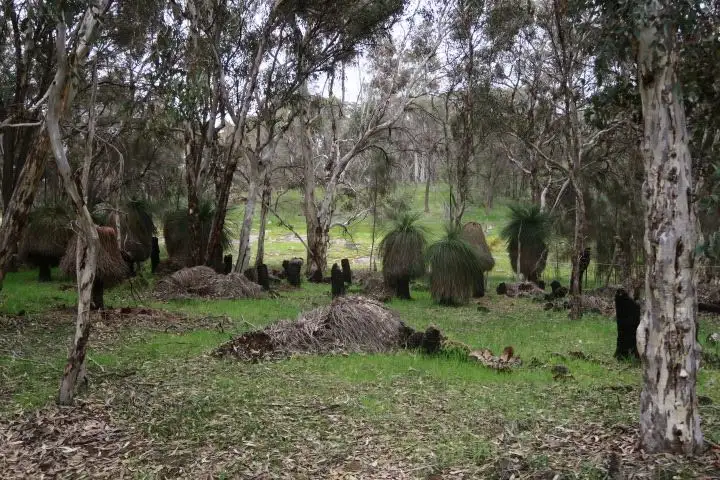 Fourth view of Homely land listing, 1/101 Echidna Close, Wandering WA 6308