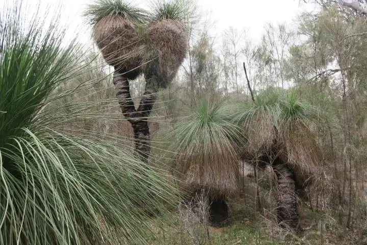 Sixth view of Homely land listing, 1/101 Echidna Close, Wandering WA 6308