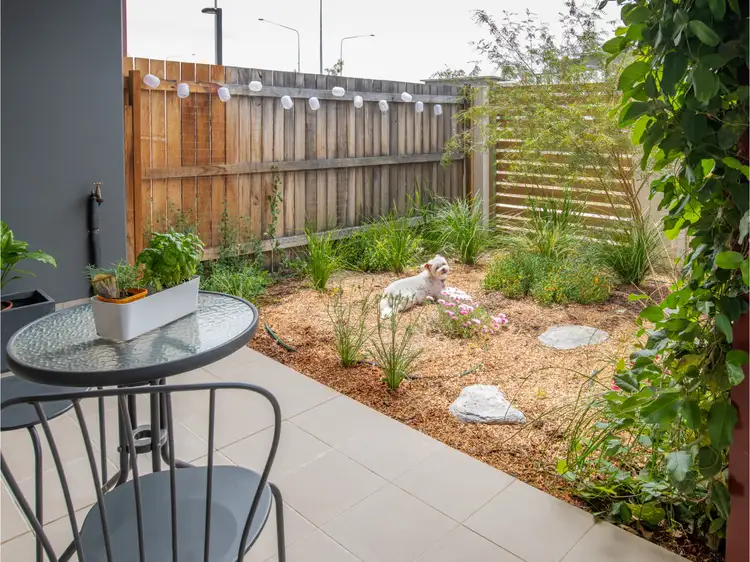 Main view of Homely apartment listing, 42/2 Peter Cullen Way, Wright ACT 2611