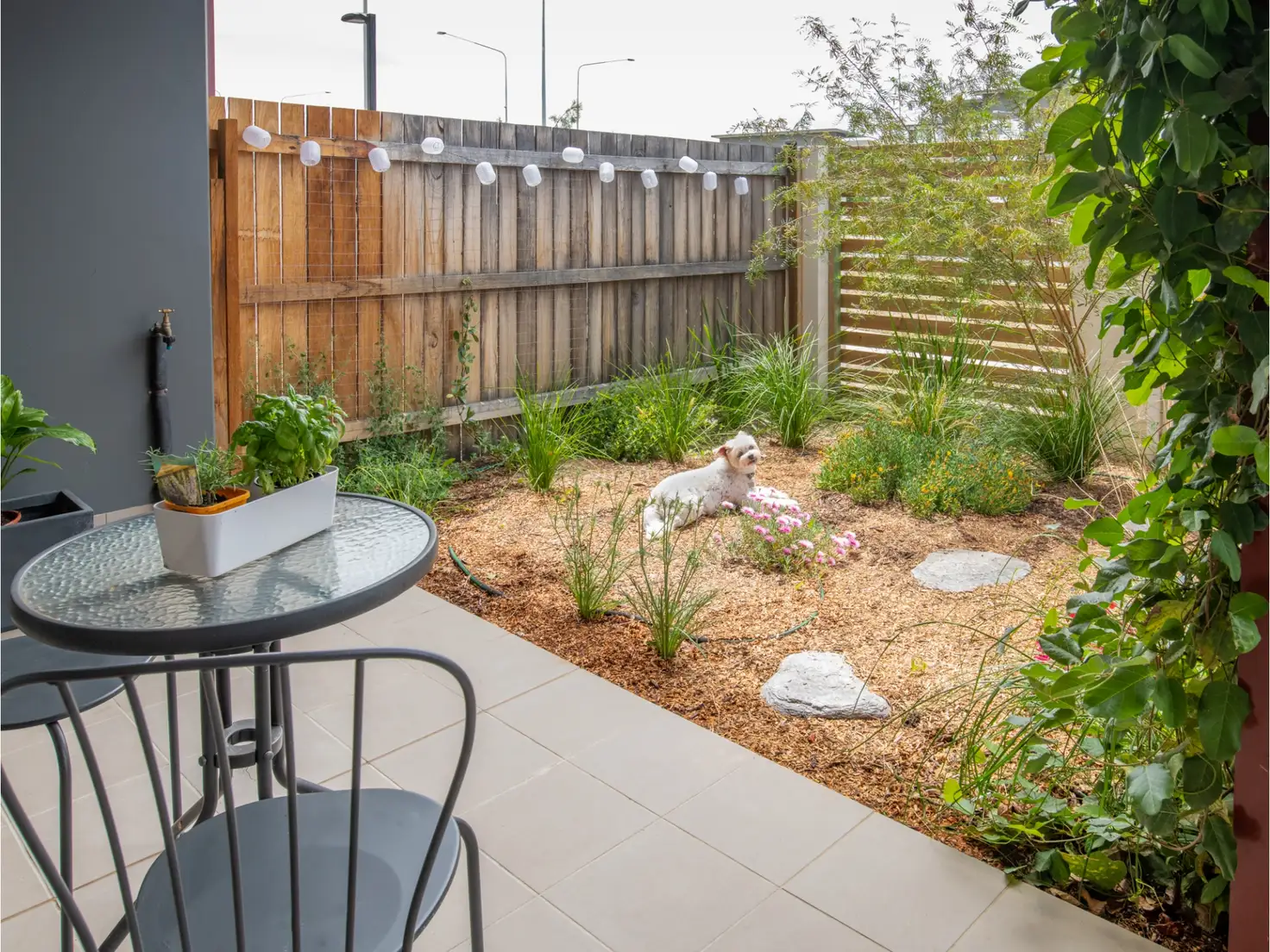 Main view of Homely apartment listing, 42/2 Peter Cullen Way, Wright ACT 2611