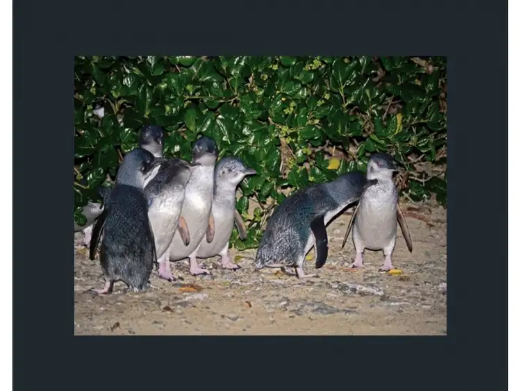 Third view of Homely house listing, 7 Waratah Street, Grassy TAS 7256