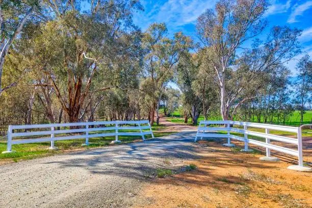 Fourth view of Homely rural property listing, 590 Bowna Road, Mullengandra NSW 2644