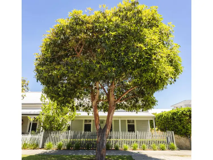 Third view of Homely house listing, 30 Monument Street, Mosman Park WA 6012