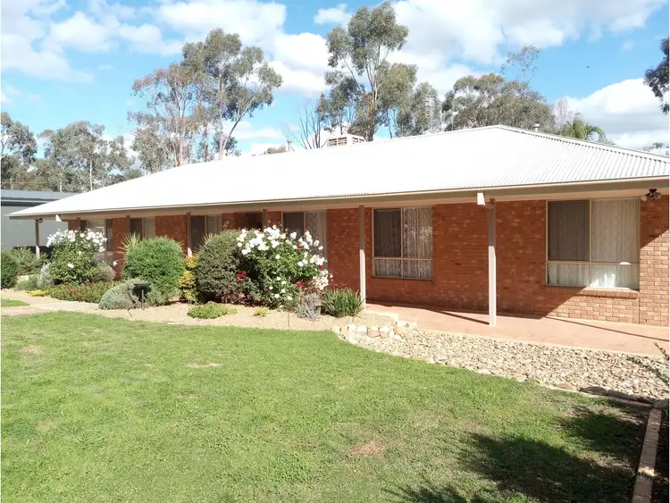 Main view of Homely house listing, 11 Christovic Place, Ascot VIC 3551
