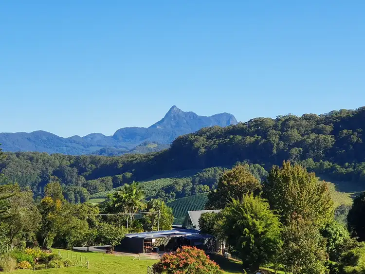 Second view of Homely rural property listing, 635 Tomewin Road, Tomewin NSW 2484