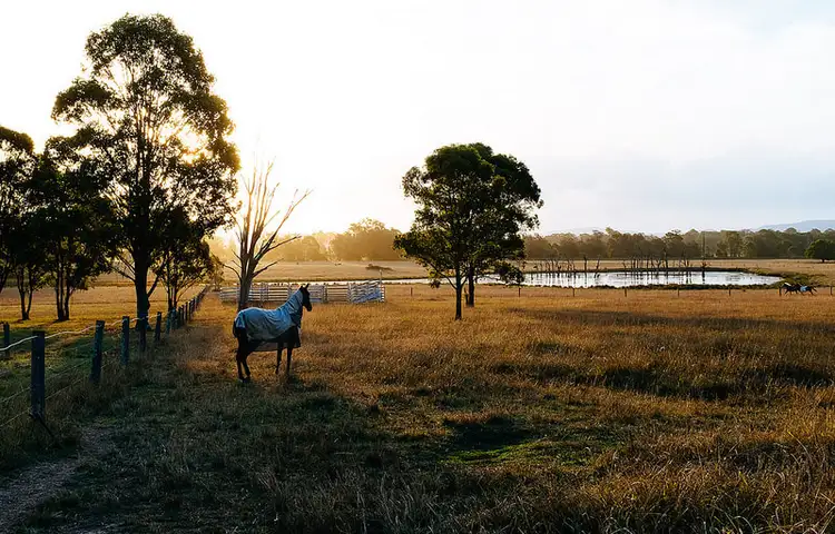 Fifth view of Homely rural property listing, 34 Cannon Creek Road, Milford QLD 4310