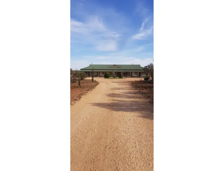 Second view of Homely rural property listing, 271 Newton Road, Loxton SA 5333