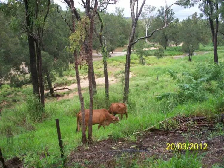 Main view of Homely rural property listing, 15384 Kennedy Highway, Ravenshoe QLD 4888