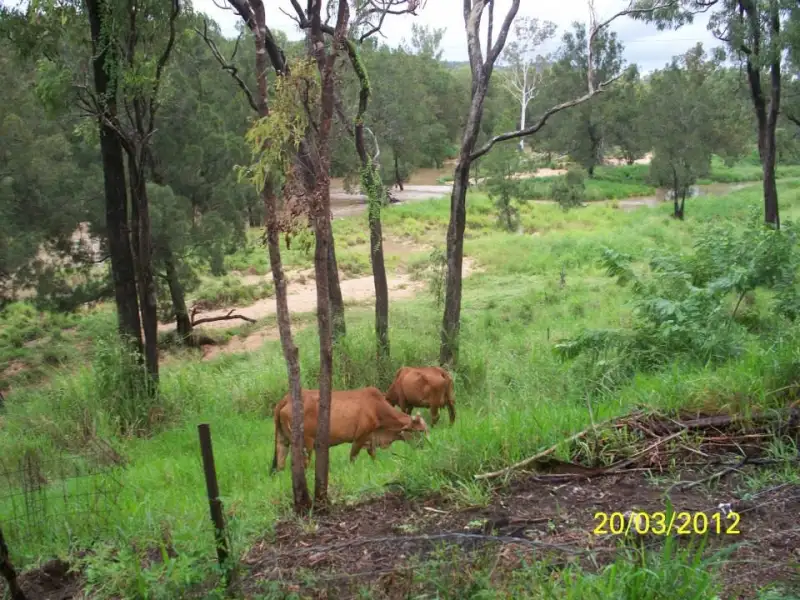 Main view of Homely rural property listing, 15384 Kennedy Highway, Ravenshoe QLD 4888