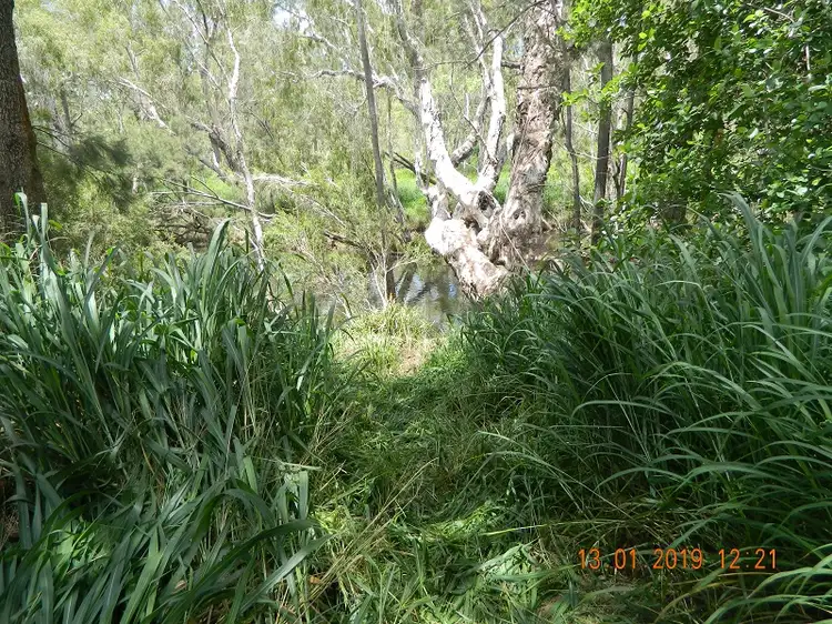 Third view of Homely rural property listing, 15384 Kennedy Highway, Ravenshoe QLD 4888