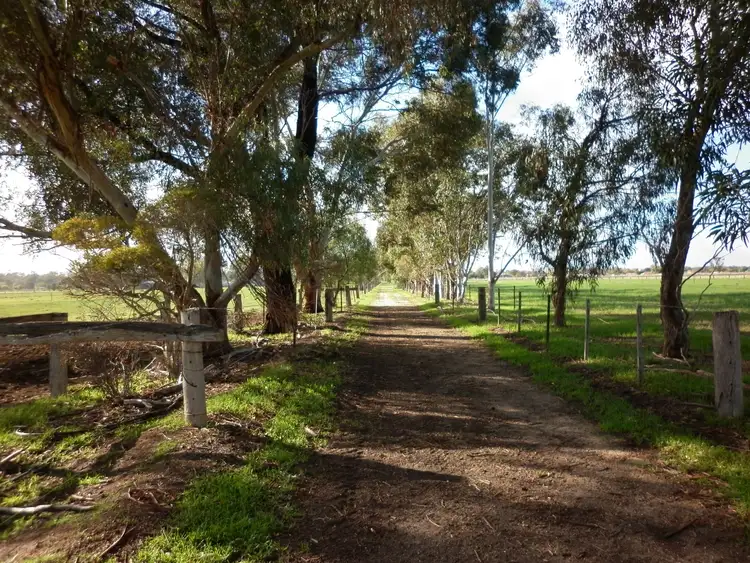 Fifth view of Homely rural property listing, 17 Phillip Road, Nathalia VIC 3638