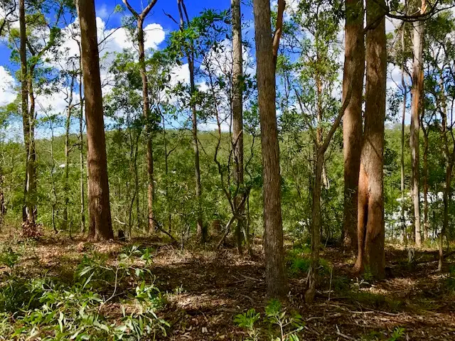 Fifth view of Homely land listing, 88 Blue Hills Drive, Bunya QLD 4055