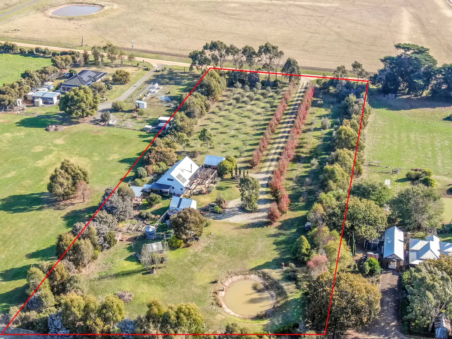 Main view of Homely rural property listing, 52 Roseneath Road, Warncoort VIC 3243