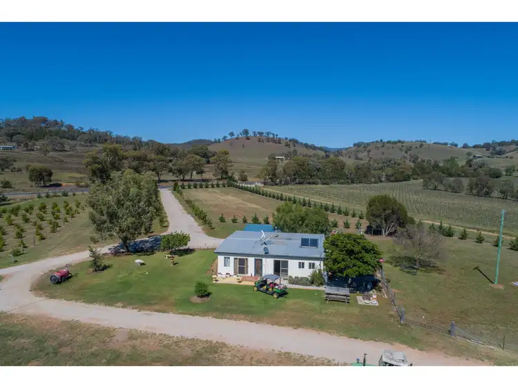 Sixth view of Homely rural property listing, 727 Castlereagh highway, Mudgee NSW 2850