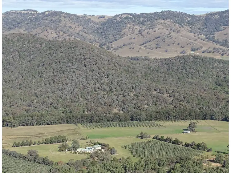 288 Riverlea Road, Mudgee NSW 2850