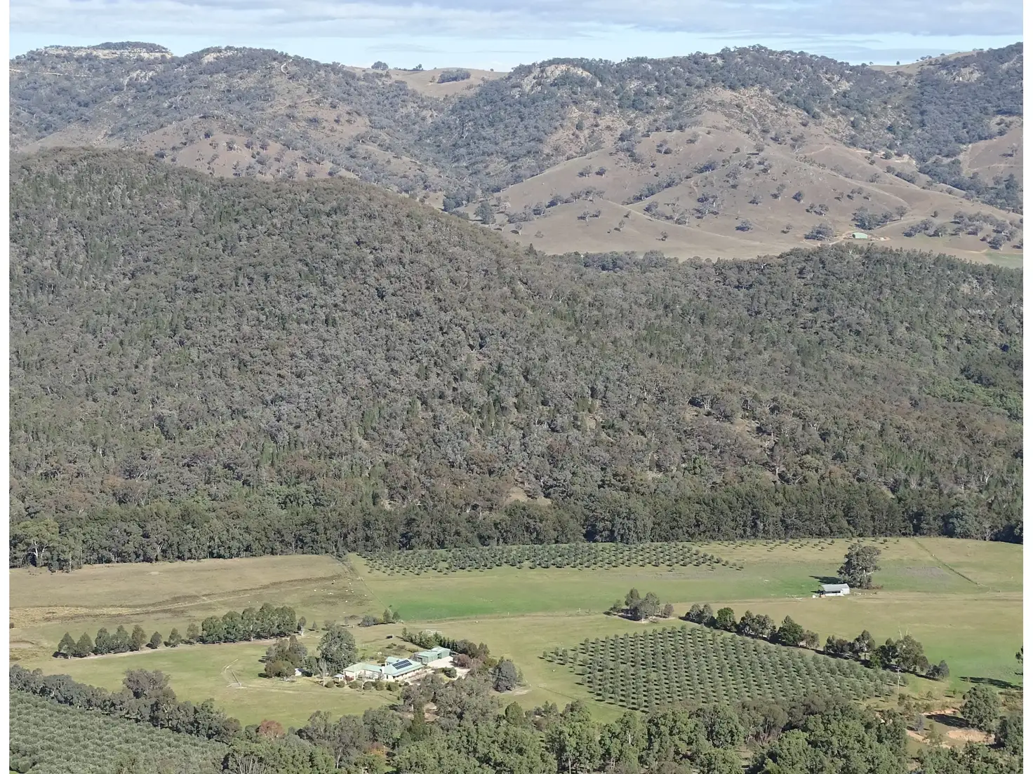 Main view of Homely rural property listing, 288 Riverlea Road, Mudgee NSW 2850