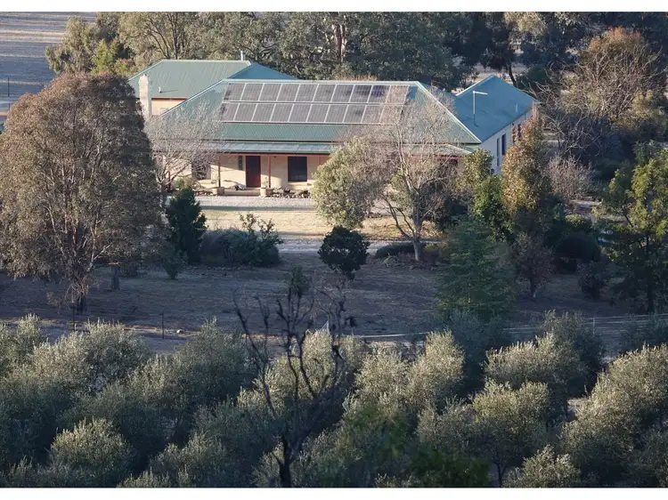 Fourth view of Homely rural property listing, 288 Riverlea Road, Mudgee NSW 2850