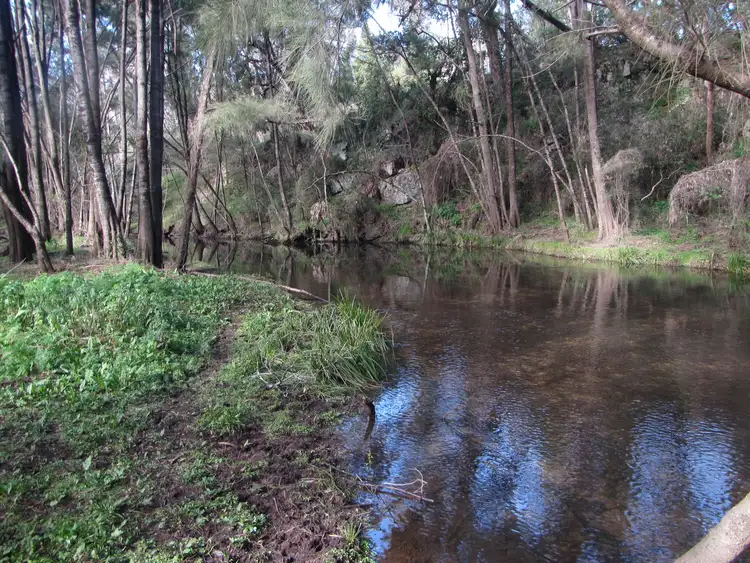 Sixth view of Homely rural property listing, 288 Riverlea Road, Mudgee NSW 2850