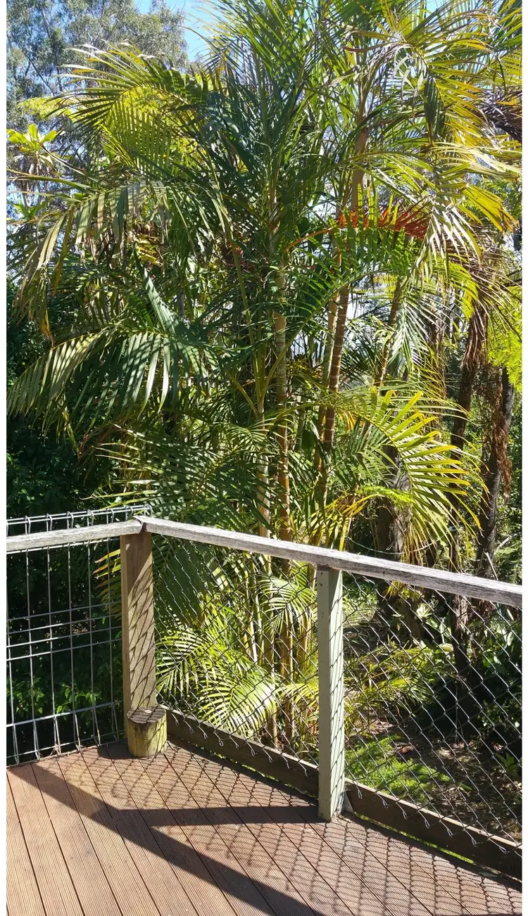 Third view of Homely rural property listing, 441 Coralville Road, Coralville NSW 2443