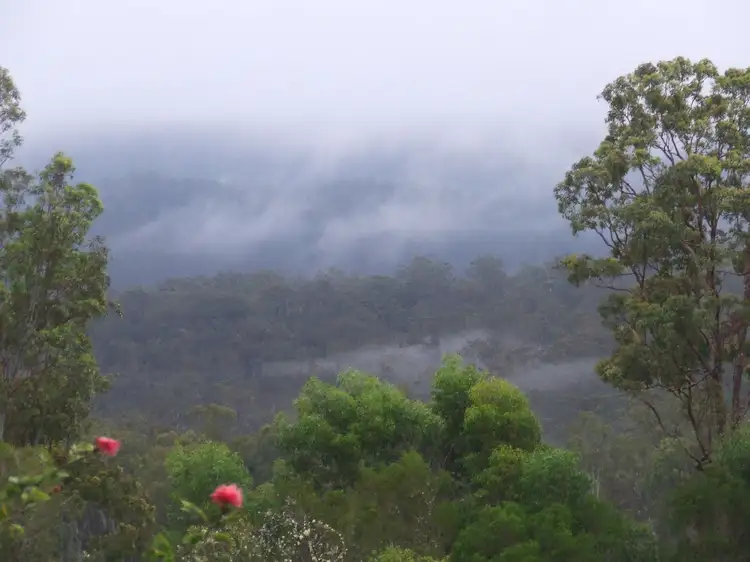 Third view of Homely rural property listing, 211 Elms Road, Wondecla QLD 4887