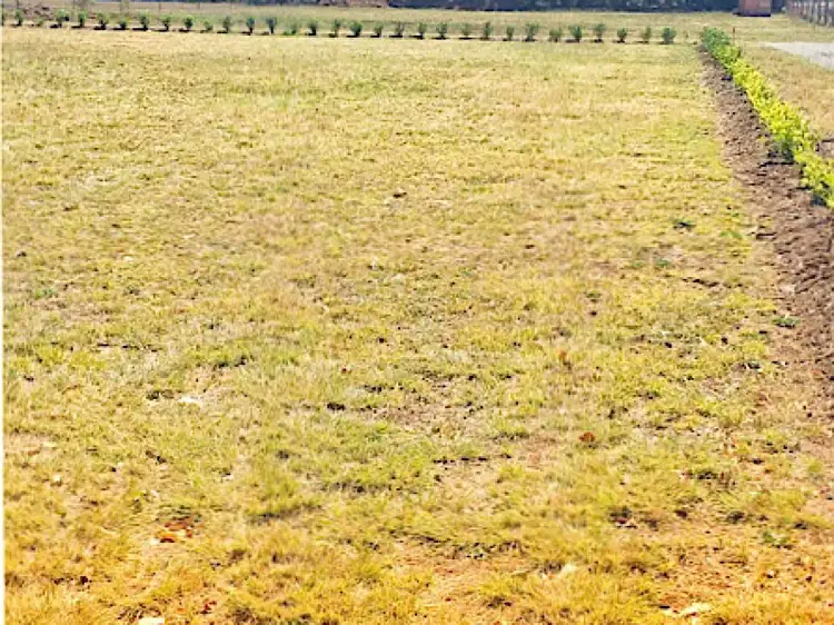 Second view of Homely land listing, Lot 5, 17 Evans Road, Cabarlah QLD 4352