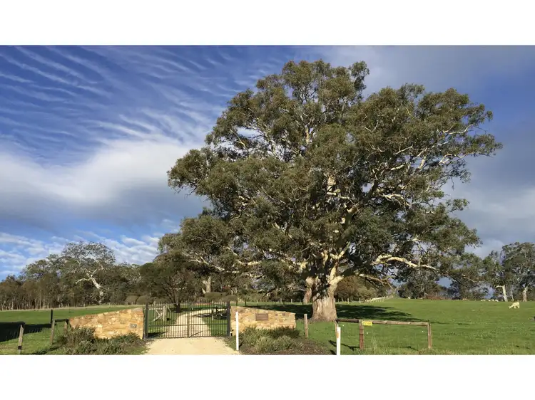 72 Bugle Range Road, Macclesfield SA 5153