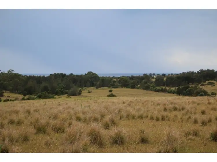 Second view of Homely land listing, Lot 225 Bingie Point Road, Bingie NSW 2537