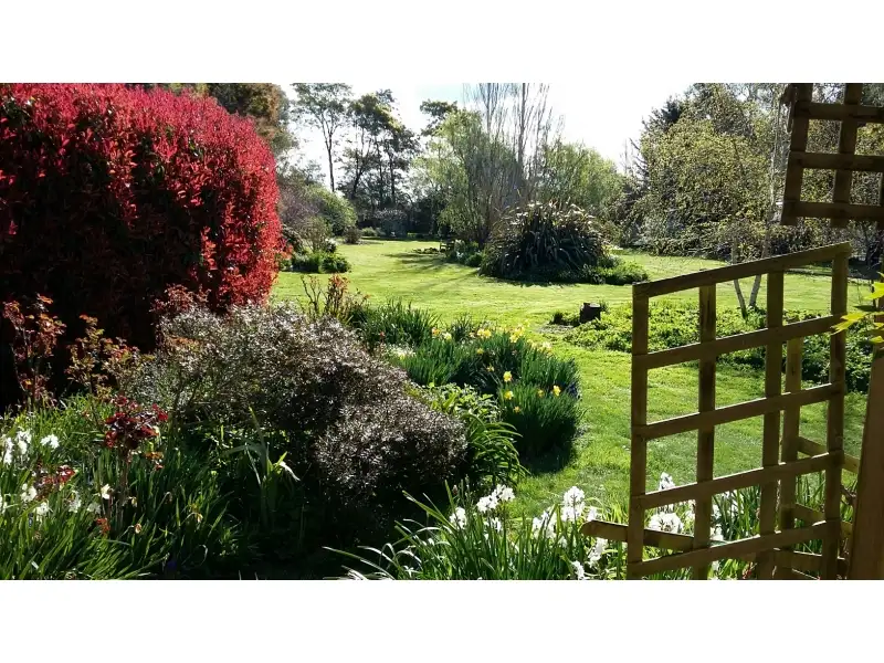 Main view of Homely house listing, 195 Mary Street, Westbury TAS 7303