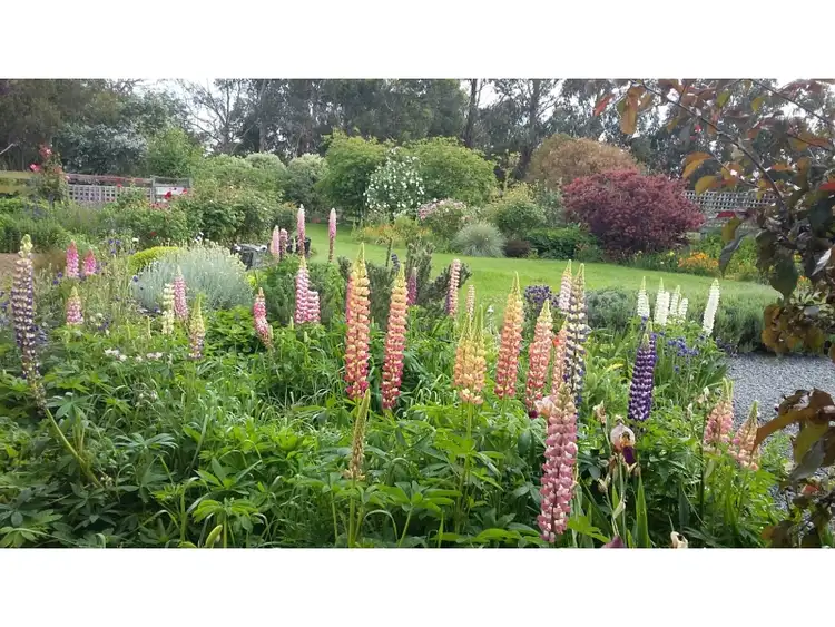 Second view of Homely house listing, 195 Mary Street, Westbury TAS 7303