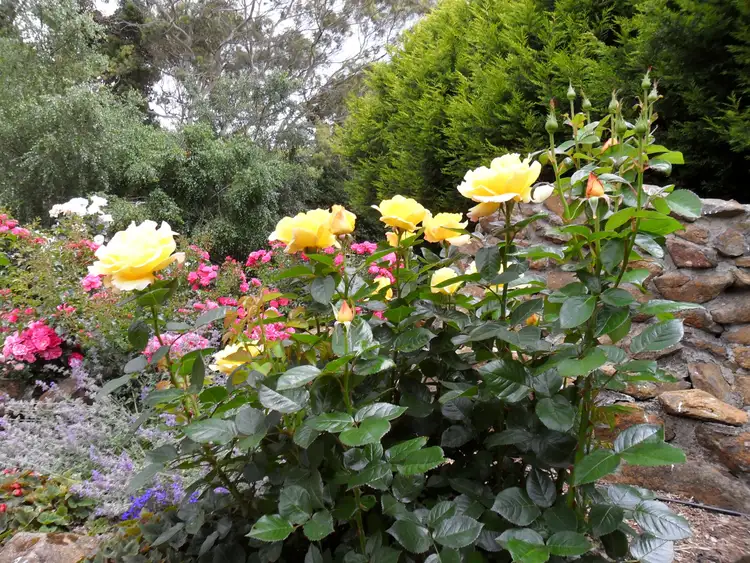 Third view of Homely rural property listing, Address available on request