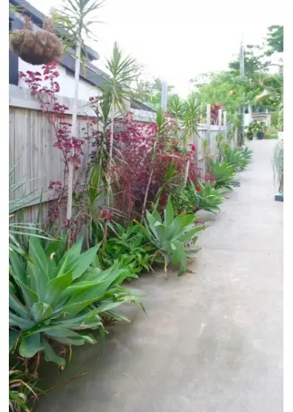Fifth view of Homely house listing, 5 Kinarra Street, Ashmore QLD 4214