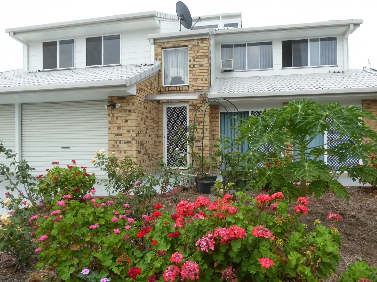 Main view of Homely house listing, 30 Nardie Street, Eight Mile Plains QLD 4113