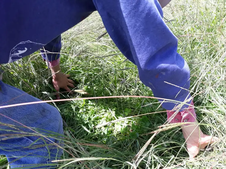 Sixth view of Homely rural property listing, Address available on request