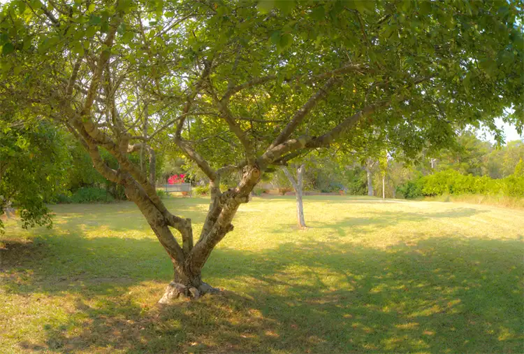 Third view of Homely rural property listing, Address available on request