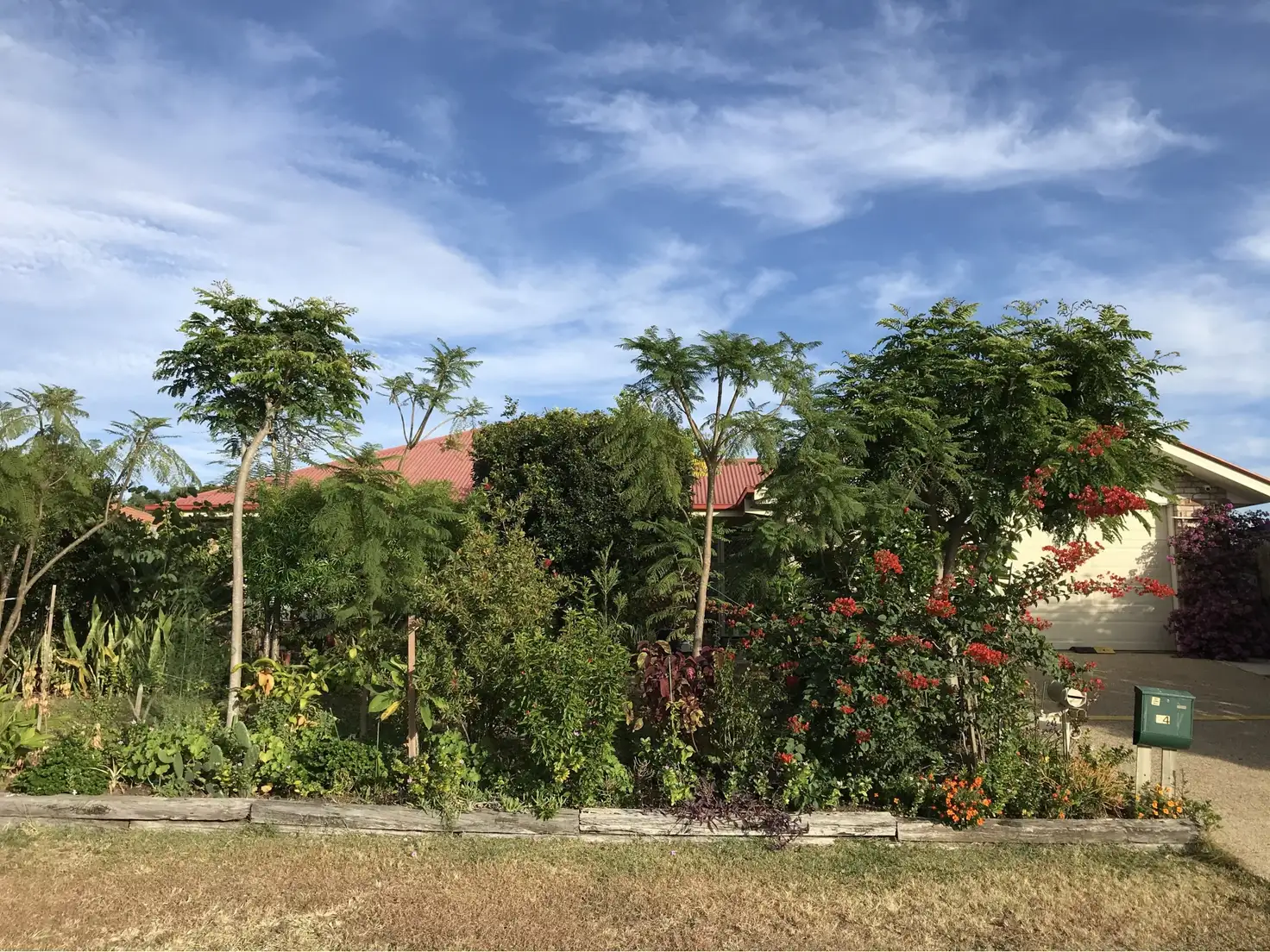 Main view of Homely house listing, 24 Honeyeater Place, Lowood QLD 4311