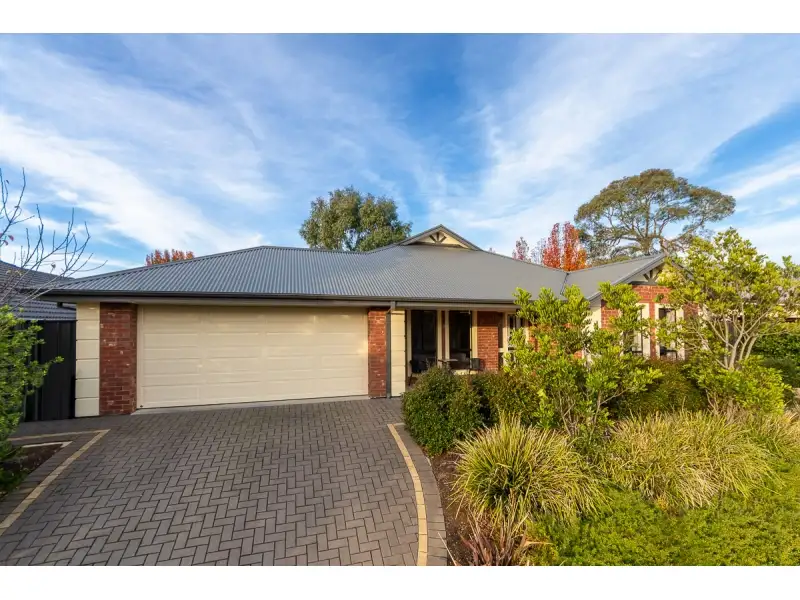 Main view of Homely house listing, 13 Laver Street, Mount Barker SA 5251