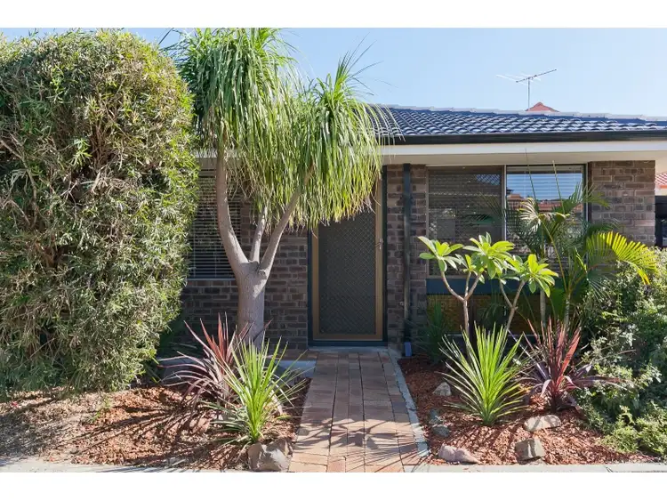 Main view of Homely villa listing, 4/54 Gwenyfred Road, Kensington WA 6151