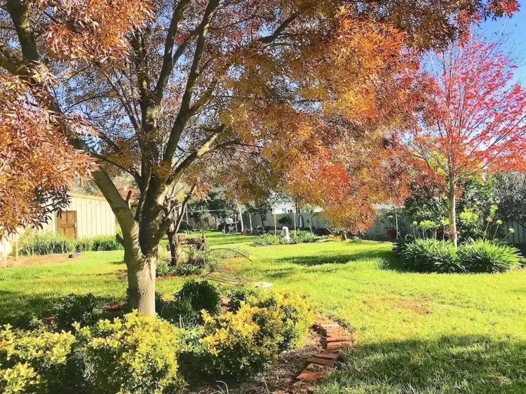18 Smith Street, Forest Hill NSW 2651