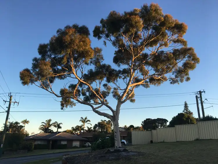 Second view of Homely land listing, 1 Mokare Road, Spencer Park WA 6330