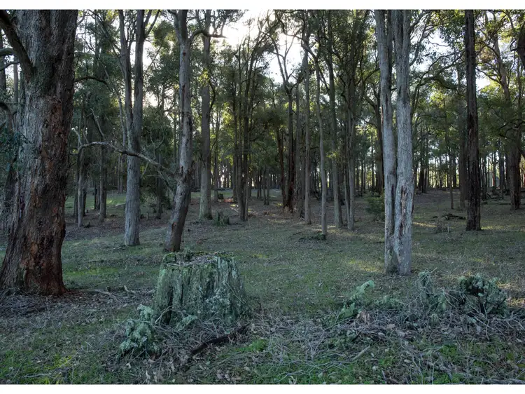 Third view of Homely land listing, WL2638 Worsley Back Road, Allanson WA 6225