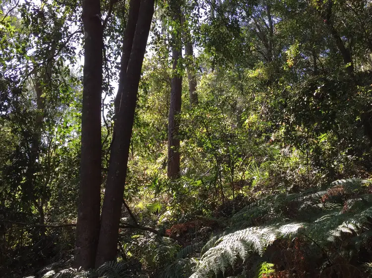 Sixth view of Homely land listing, 60 Thompson Street, Scotland Island NSW 2105