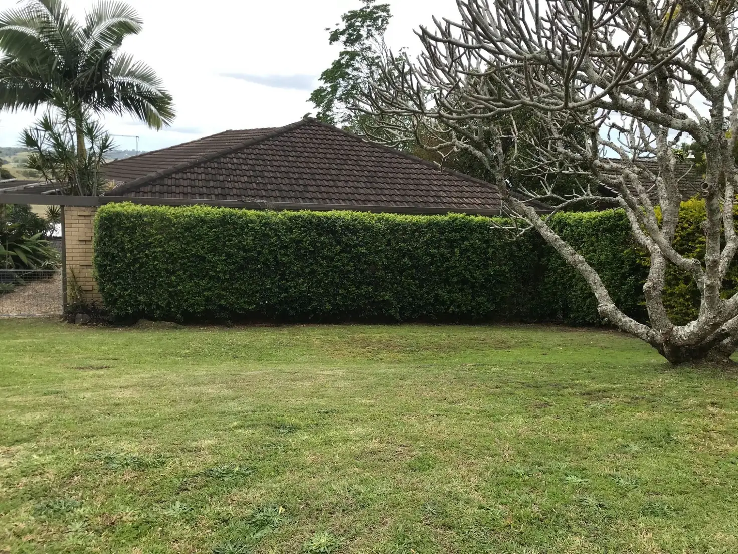 Main view of Homely house listing, 13 Kareela Avenue, Lismore Heights NSW 2480