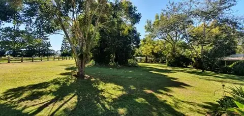 Third view of Homely rural property listing, 218 Ball Road, Peeramon QLD 4885