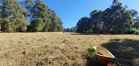 Seventh view of Homely rural property listing, 218 Ball Road, Peeramon QLD 4885