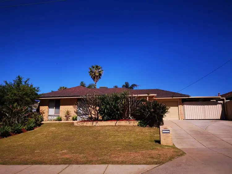 Main view of Homely house listing, 229 Eddystone Avenue, Beldon WA 6027