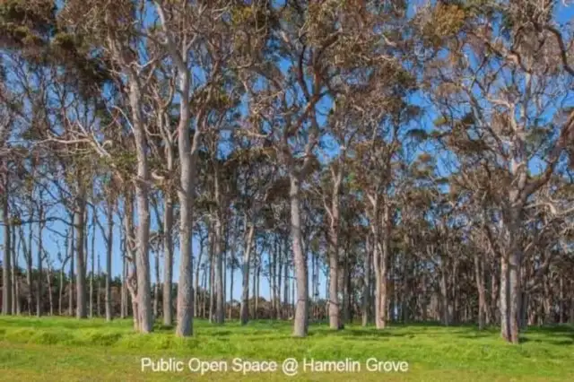 Third view of Homely land listing, 5 Bole Way, Karridale WA 6288