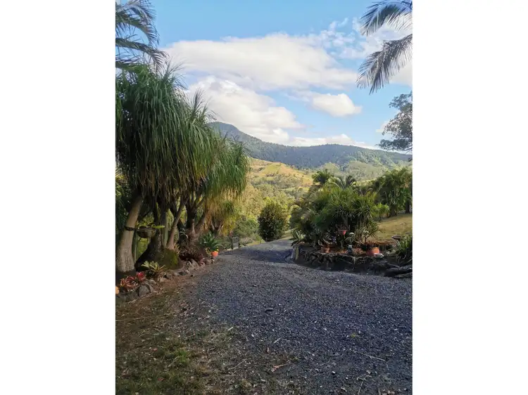 Seventh view of Homely rural property listing, 2310 Running creek Road, Running Creek QLD 4287