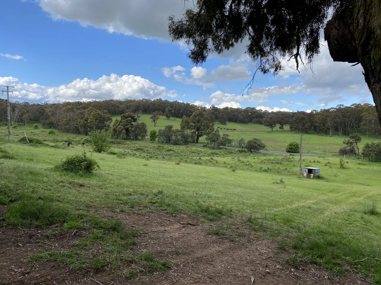 Main view of Homely rural property listing, 423 Lowes Mount Road, Oberon NSW 2787