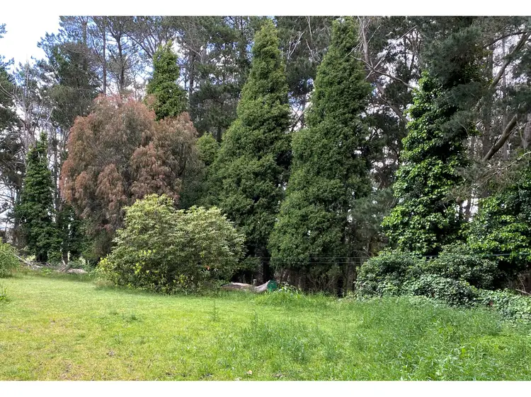 Second view of Homely rural property listing, 423 Lowes Mount Road, Oberon NSW 2787